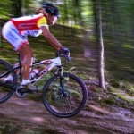 herten08